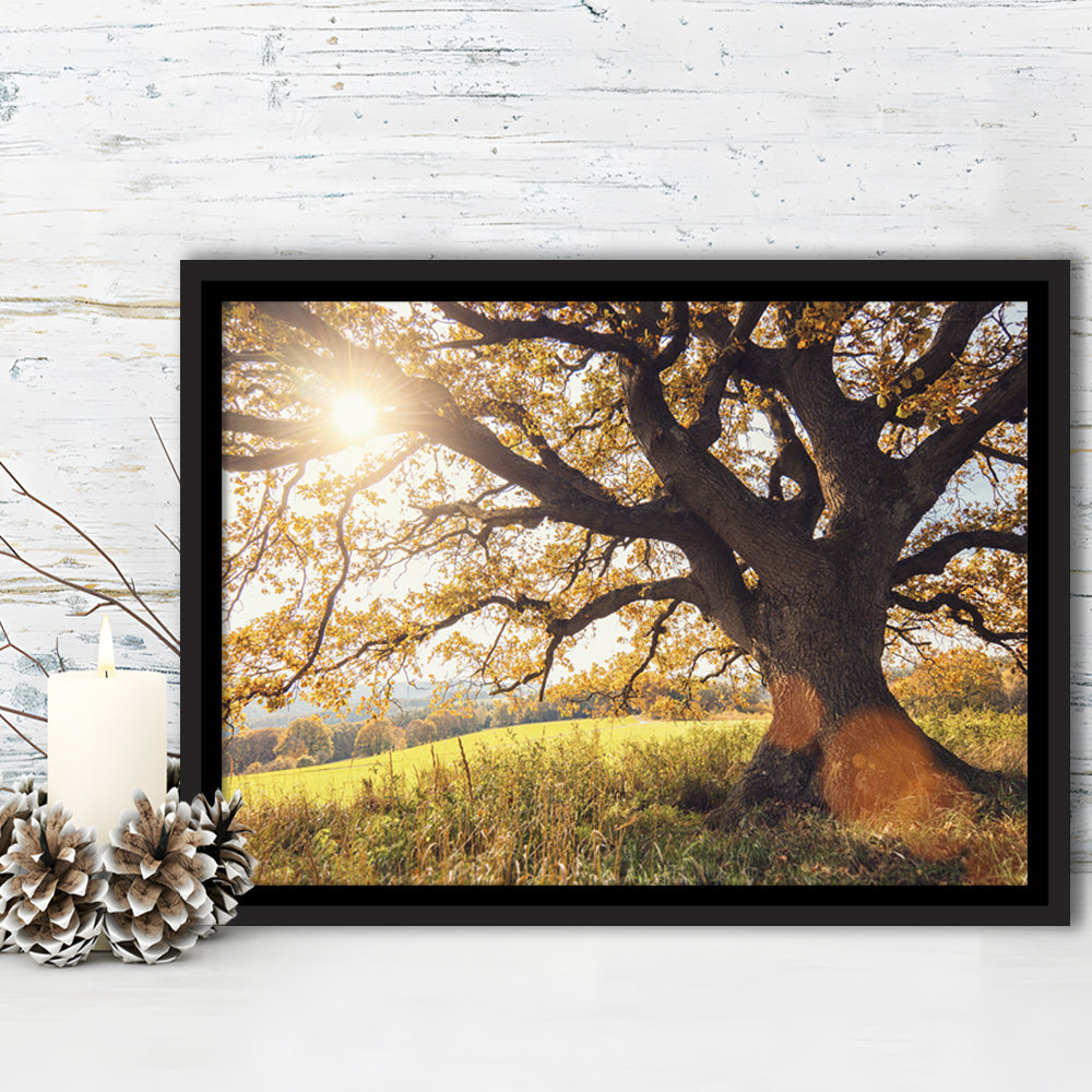 Old Oak Tree At Autumn Landscape, Framed Cavas Print, Floating Frame