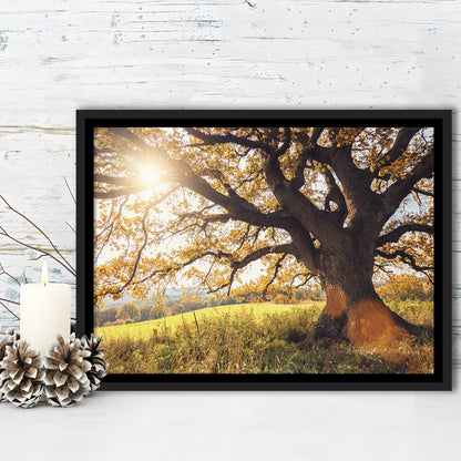 Old Oak Tree At Autumn Landscape, Framed Cavas Print, Floating Frame