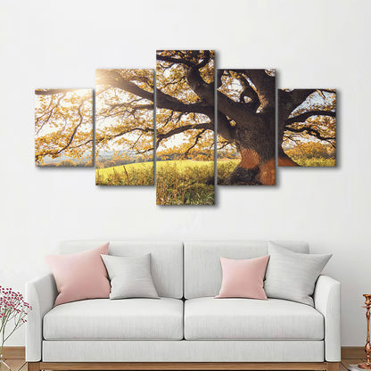 old oak tree at autumn Landscape, 5 Piece Large Cavas Print Wall Art