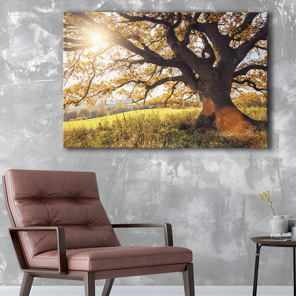 old oak tree at autumn Landscape, Cavas Print Wall Art Hom Decor