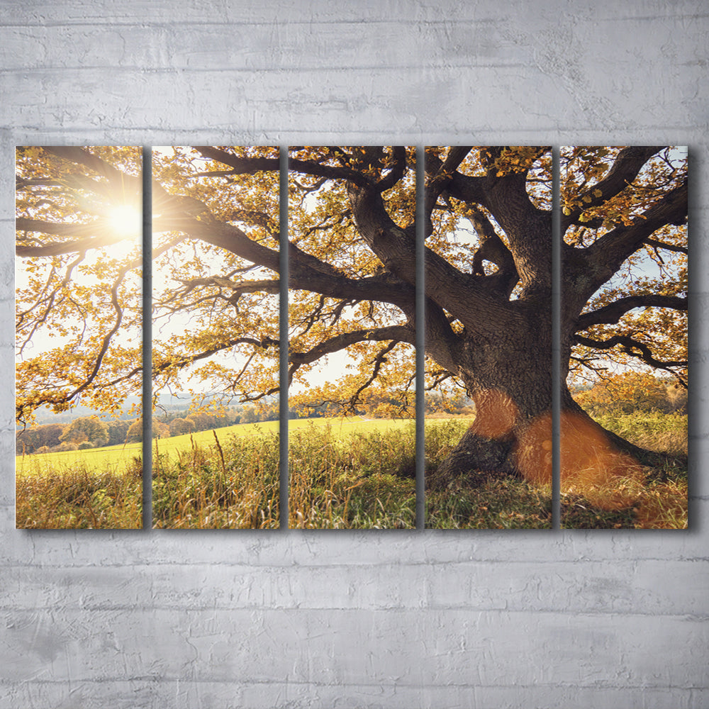 old oak tree at autumn Landscape, 5 Piece B Extra Large Cavas Print Wall Art Decor