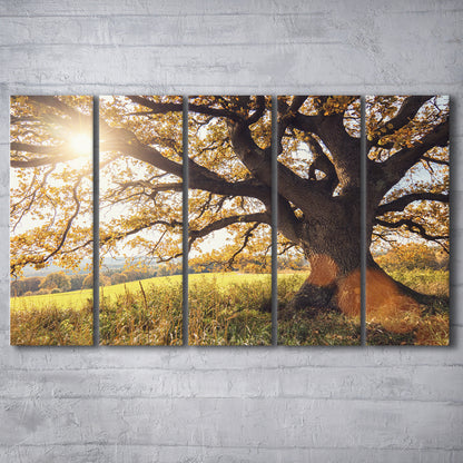old oak tree at autumn Landscape, 5 Piece B Extra Large Cavas Print Wall Art Decor