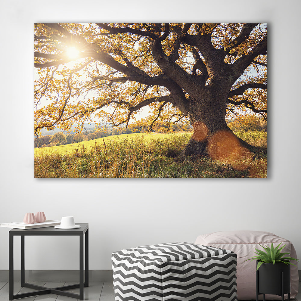 old oak tree at autumn Landscape, Cavas Print Wall Art Hom Decor