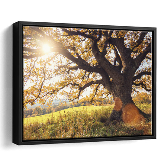 Old Oak Tree At Autumn Landscape, Framed Cavas Print, Floating Frame