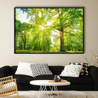 Old Oak Tree Foliage In Morning Light With Sunlight, Framed Cavas Print, Floating Frame