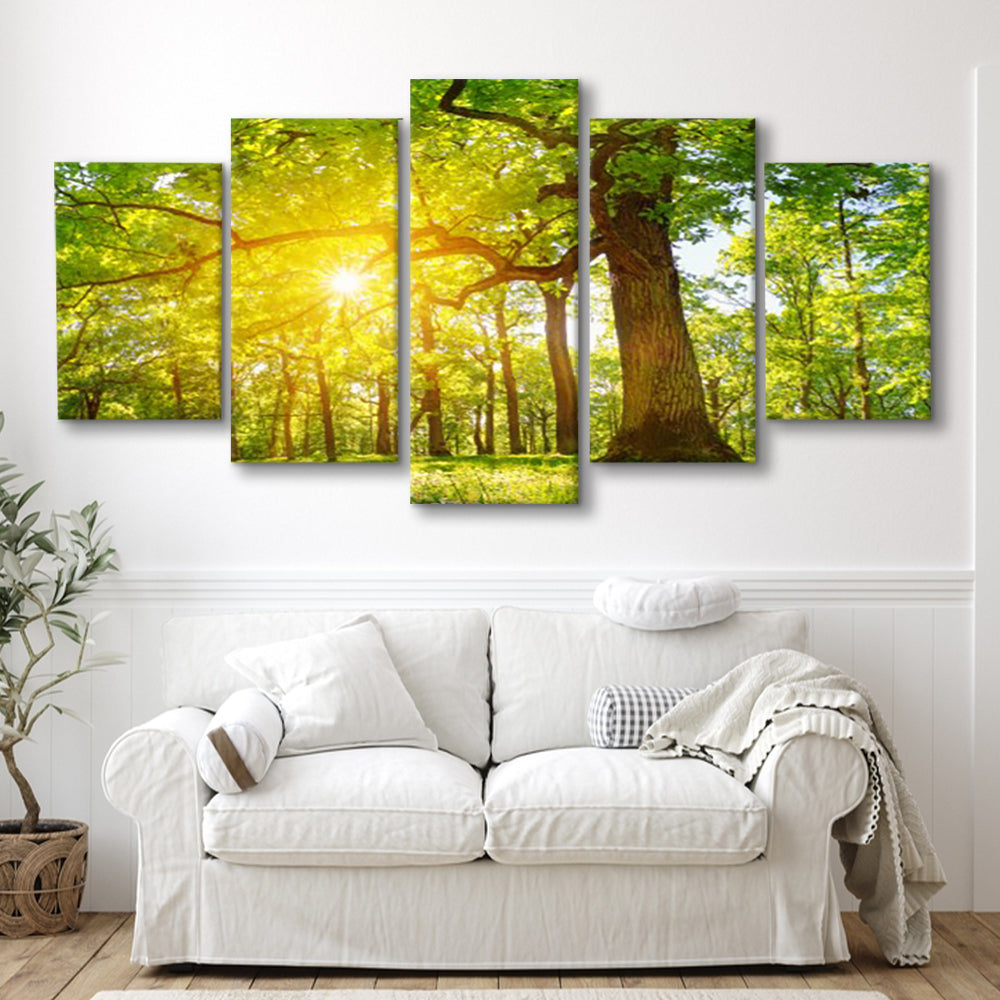 old oak tree foliage in morning light with sunlight V1, 5 Piece Large Cavas Print Wall Art