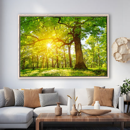 Old Oak Tree Foliage In Morning Light With Sunlight V1, Framed Cavas Print, Floating Frame