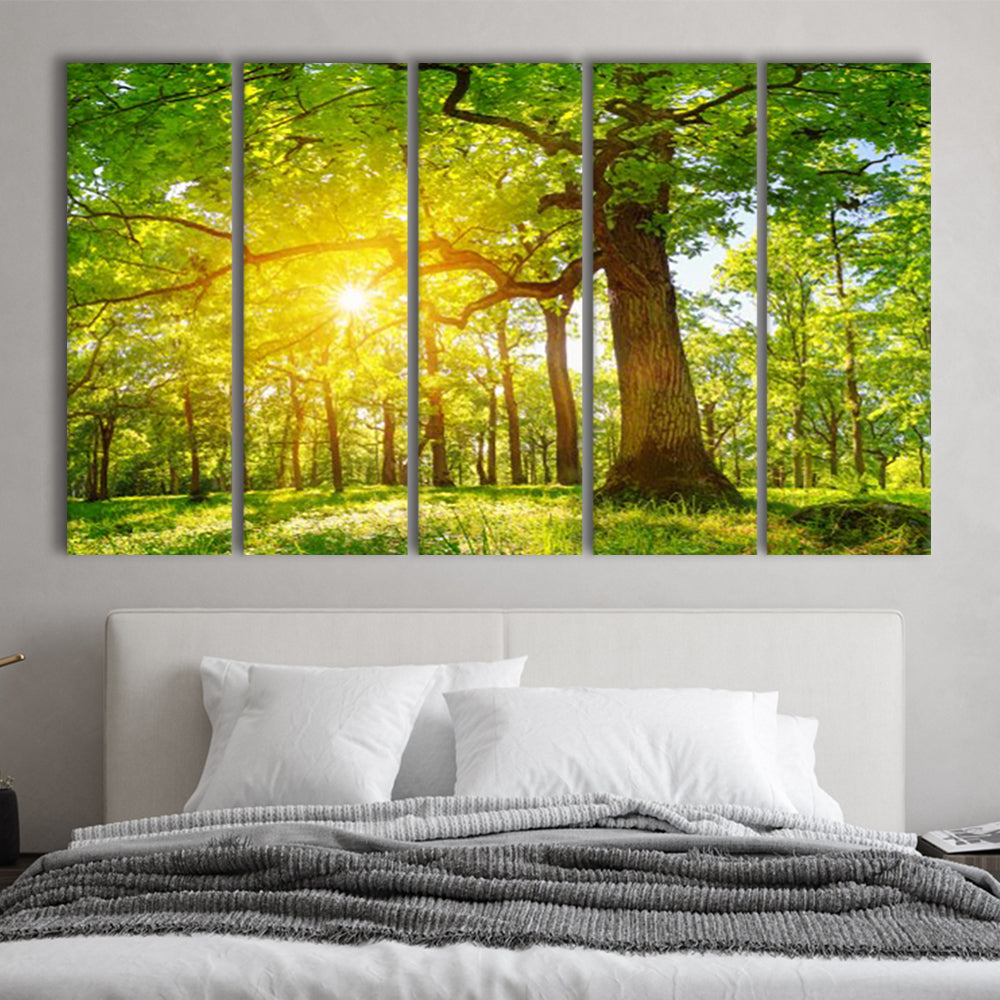 old oak tree foliage in morning light with sunlight V1, 5 Piece B Extra Large Cavas Print Wall Art Decor