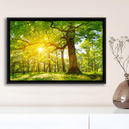 Old Oak Tree Foliage In Morning Light With Sunlight V1, Framed Cavas Print, Floating Frame