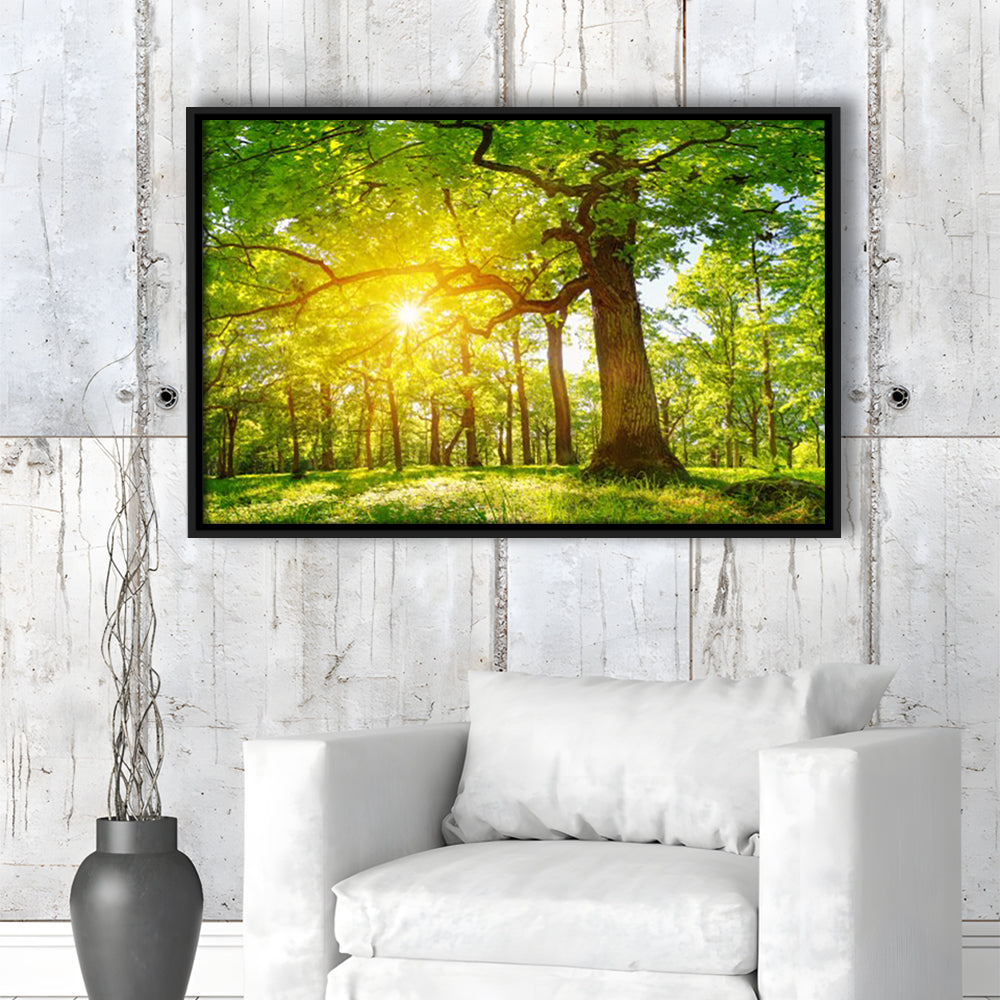 Old Oak Tree Foliage In Morning Light With Sunlight V1, Framed Cavas Print, Floating Frame
