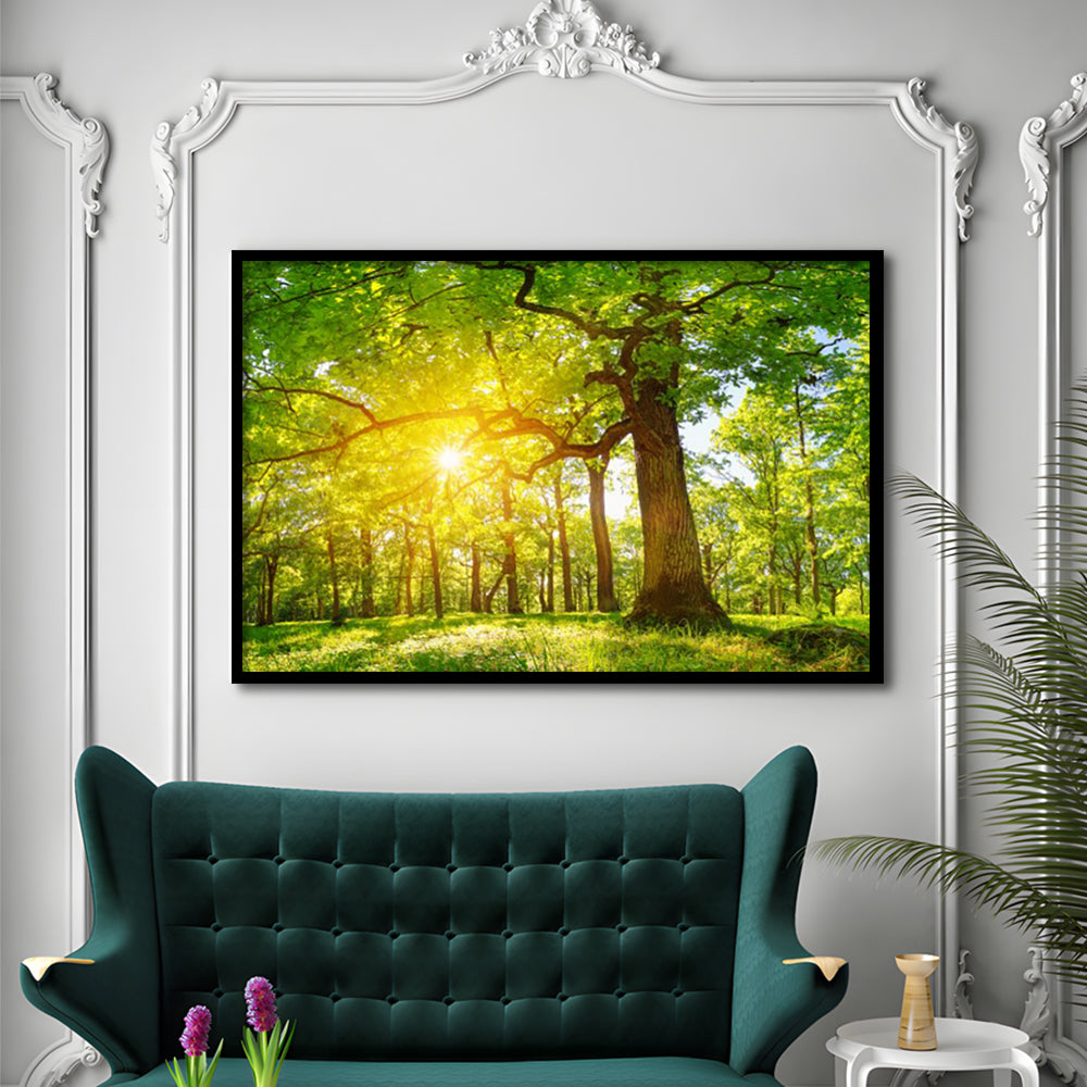Old Oak Tree Foliage In Morning Light With Sunlight V1, Framed Art Print, Picture Framed
