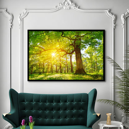 Old Oak Tree Foliage In Morning Light With Sunlight V1, Framed Art Print, Picture Framed