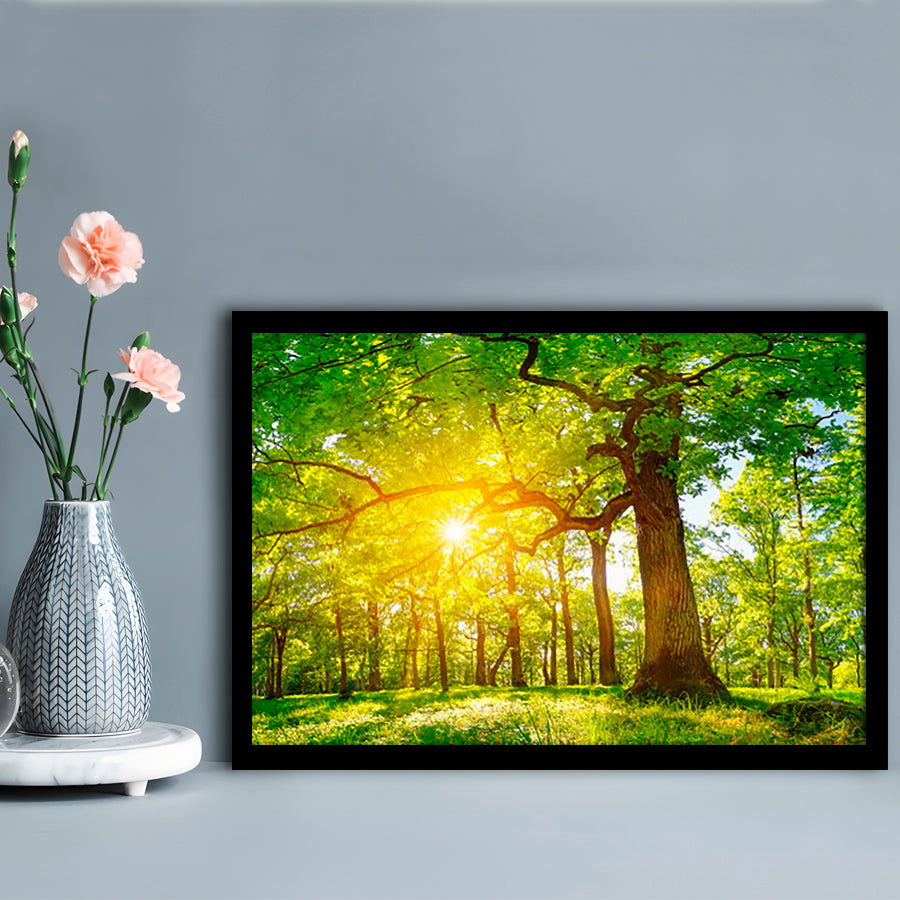 Old Oak Tree Foliage In Morning Light With Sunlight V1, Framed Art Print, Picture Framed