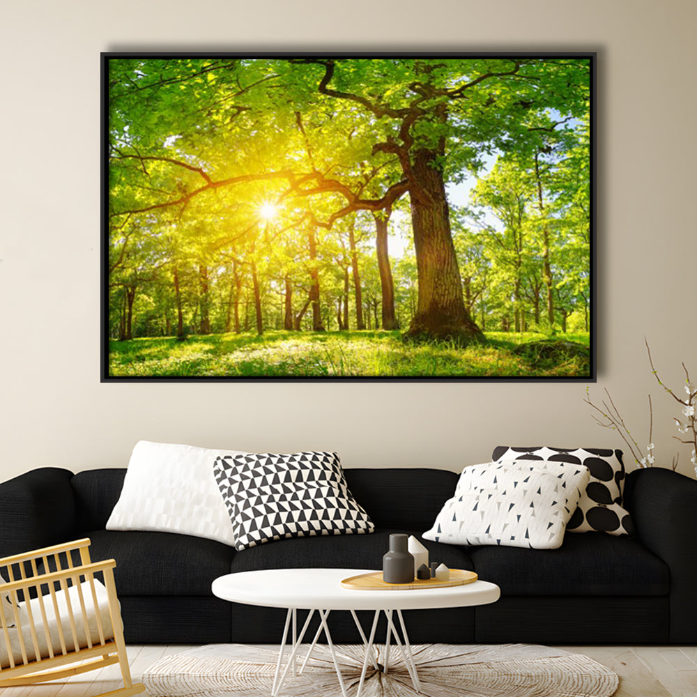 Old Oak Tree Foliage In Morning Light With Sunlight V1, Framed Cavas Print, Floating Frame