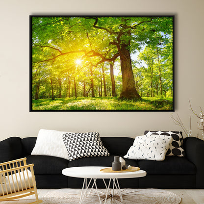 Old Oak Tree Foliage In Morning Light With Sunlight V1, Framed Cavas Print, Floating Frame
