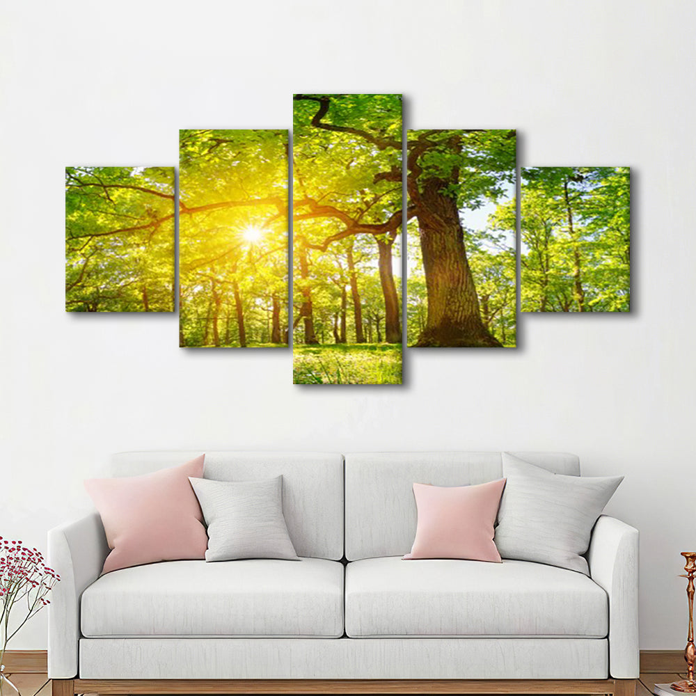 old oak tree foliage in morning light with sunlight V1, 5 Piece Large Cavas Print Wall Art