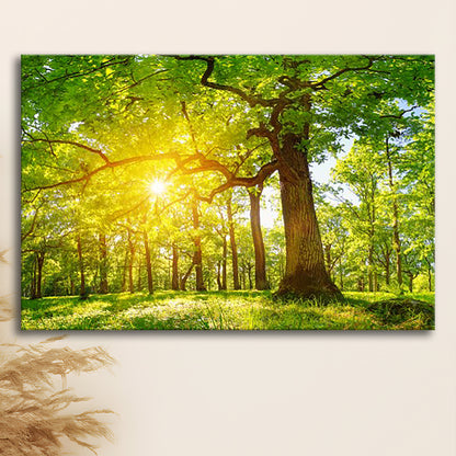 old oak tree foliage in morning light with sunlight V1, Cavas Print Wall Art Hom Decor