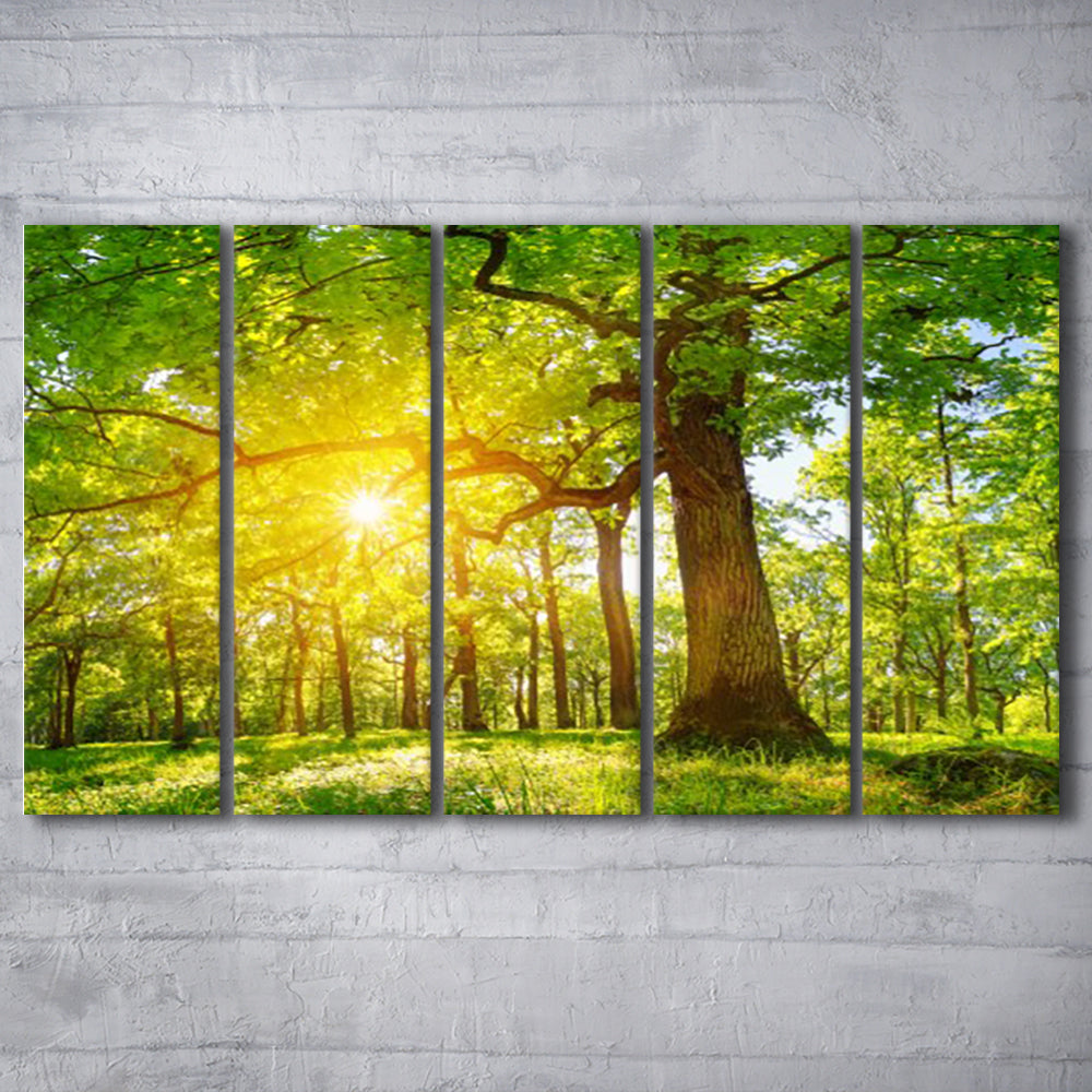 old oak tree foliage in morning light with sunlight V1, 5 Piece B Extra Large Cavas Print Wall Art Decor