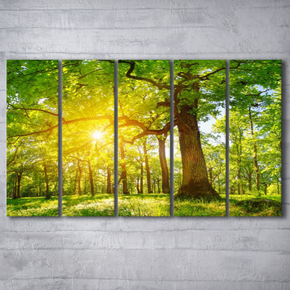 old oak tree foliage in morning light with sunlight V1, 5 Piece B Extra Large Cavas Print Wall Art Decor