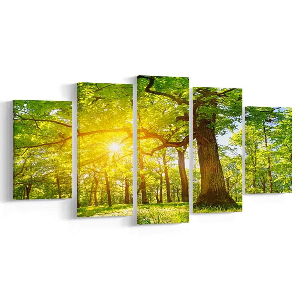 old oak tree foliage in morning light with sunlight V1, 5 Piece Large Cavas Print Wall Art