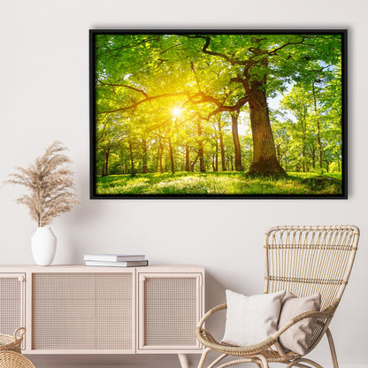 Old Oak Tree Foliage In Morning Light With Sunlight V1, Framed Cavas Print, Floating Frame