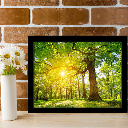 Old Oak Tree Foliage In Morning Light With Sunlight V1, Framed Art Print, Picture Framed