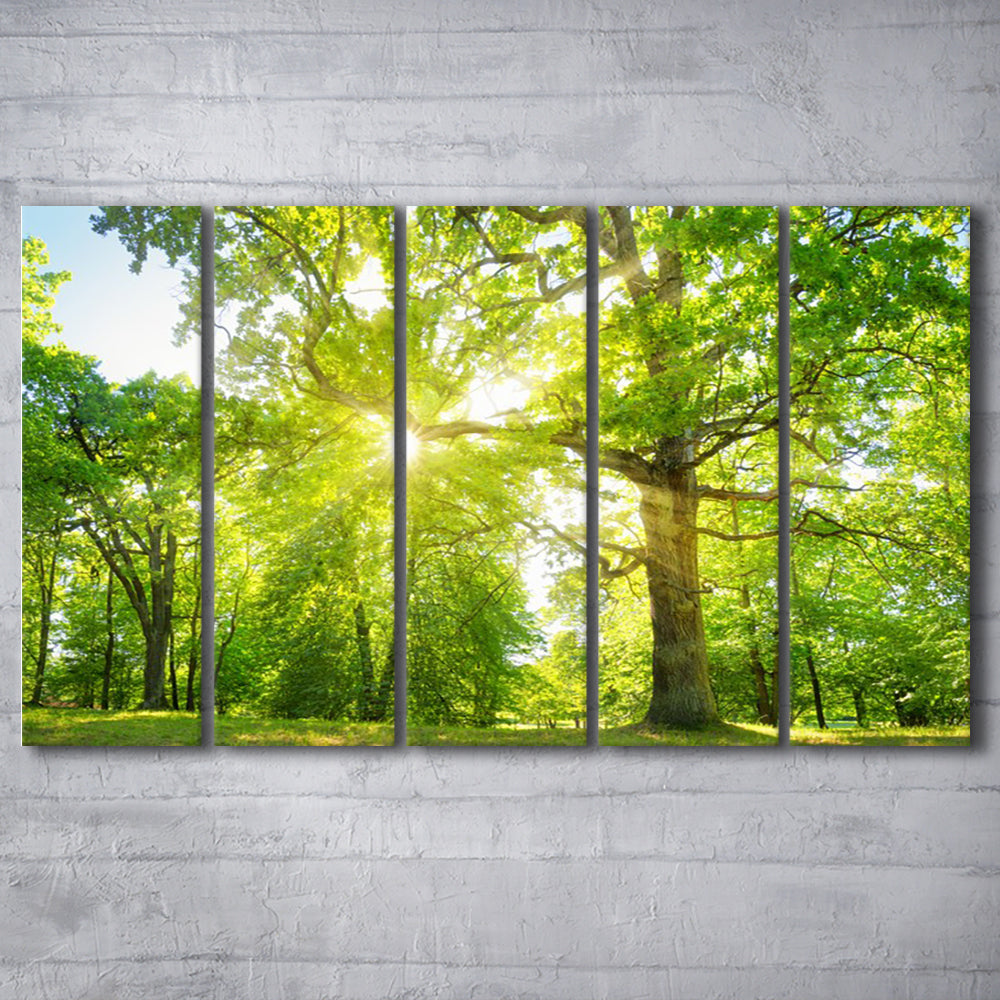 old oak tree foliage in morning light with sunlight, 5 Piece B Extra Large Cavas Print Wall Art Decor