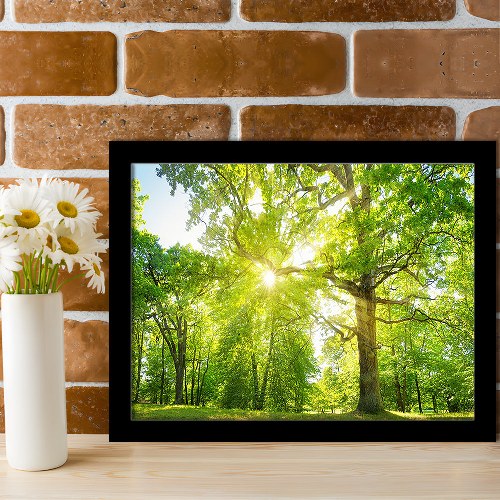 Old Oak Tree Foliage In Morning Light With Sunlight, Framed Art Print, Picture Framed