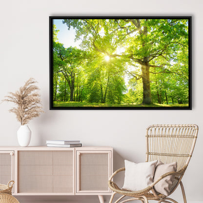 Old Oak Tree Foliage In Morning Light With Sunlight, Framed Cavas Print, Floating Frame