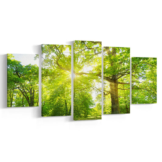 old oak tree foliage in morning light with sunlight, 5 Piece Large Cavas Print Wall Art