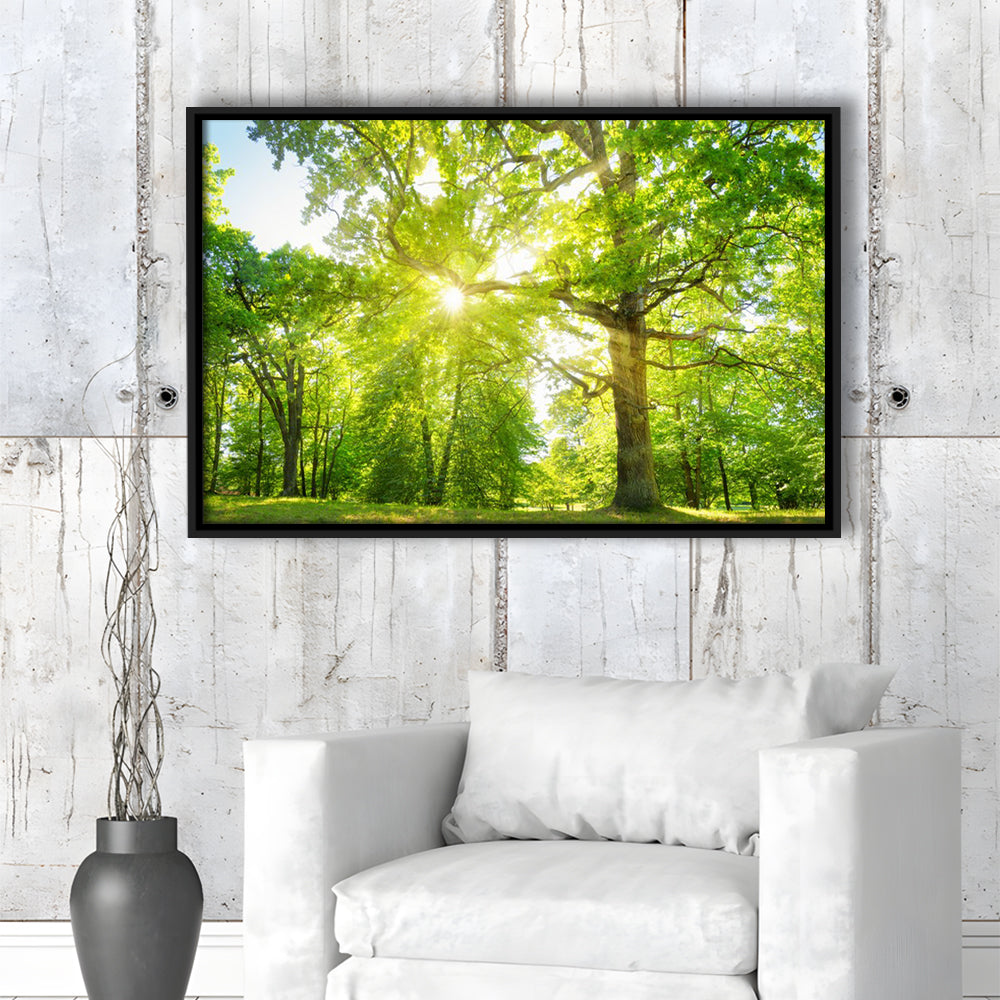 Old Oak Tree Foliage In Morning Light With Sunlight, Framed Cavas Print, Floating Frame