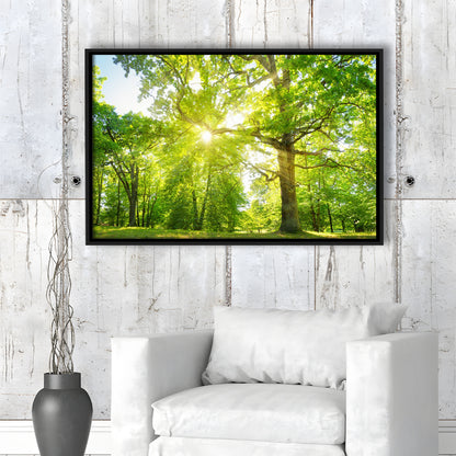 Old Oak Tree Foliage In Morning Light With Sunlight, Framed Cavas Print, Floating Frame