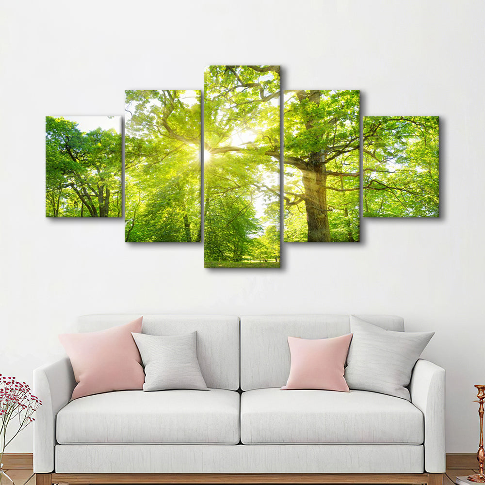 old oak tree foliage in morning light with sunlight, 5 Piece Large Cavas Print Wall Art