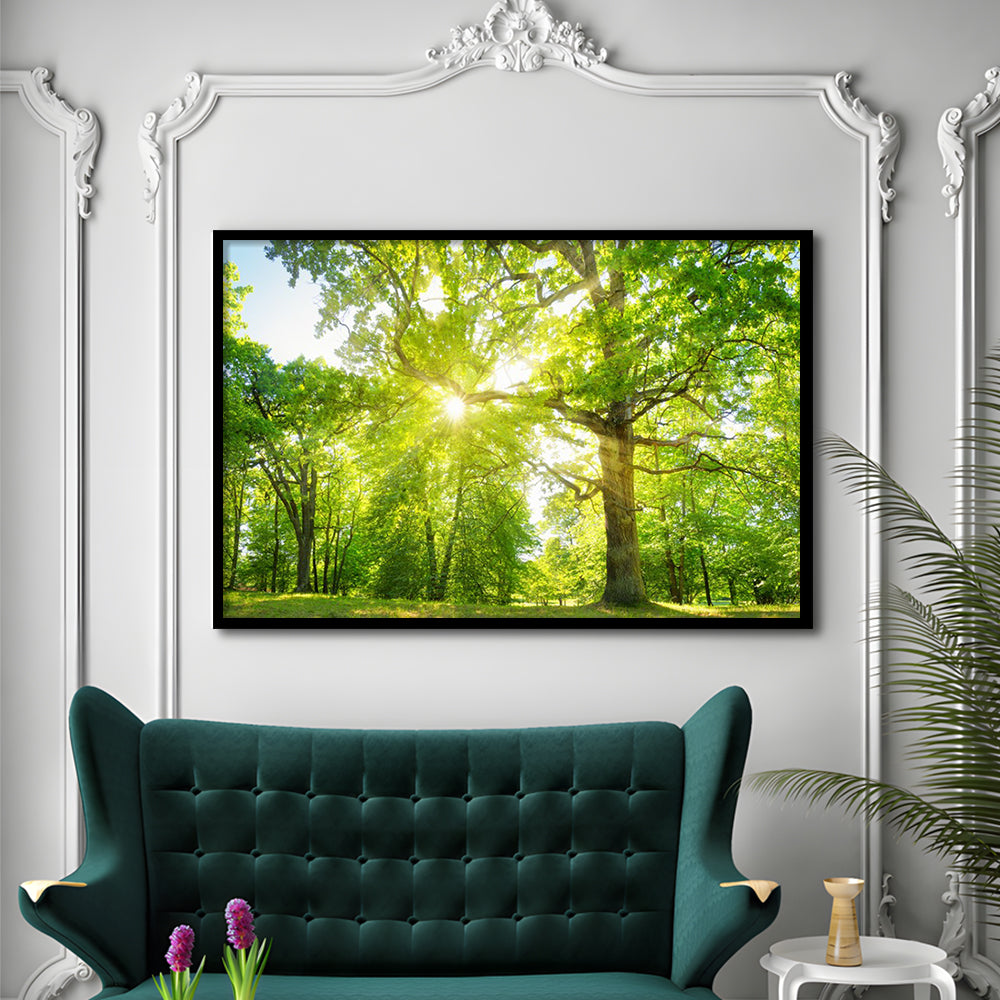 Old Oak Tree Foliage In Morning Light With Sunlight, Framed Art Print, Picture Framed