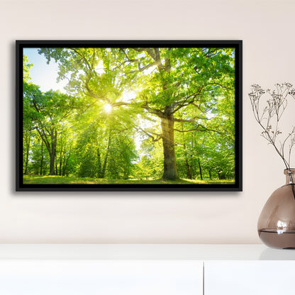Old Oak Tree Foliage In Morning Light With Sunlight, Framed Cavas Print, Floating Frame