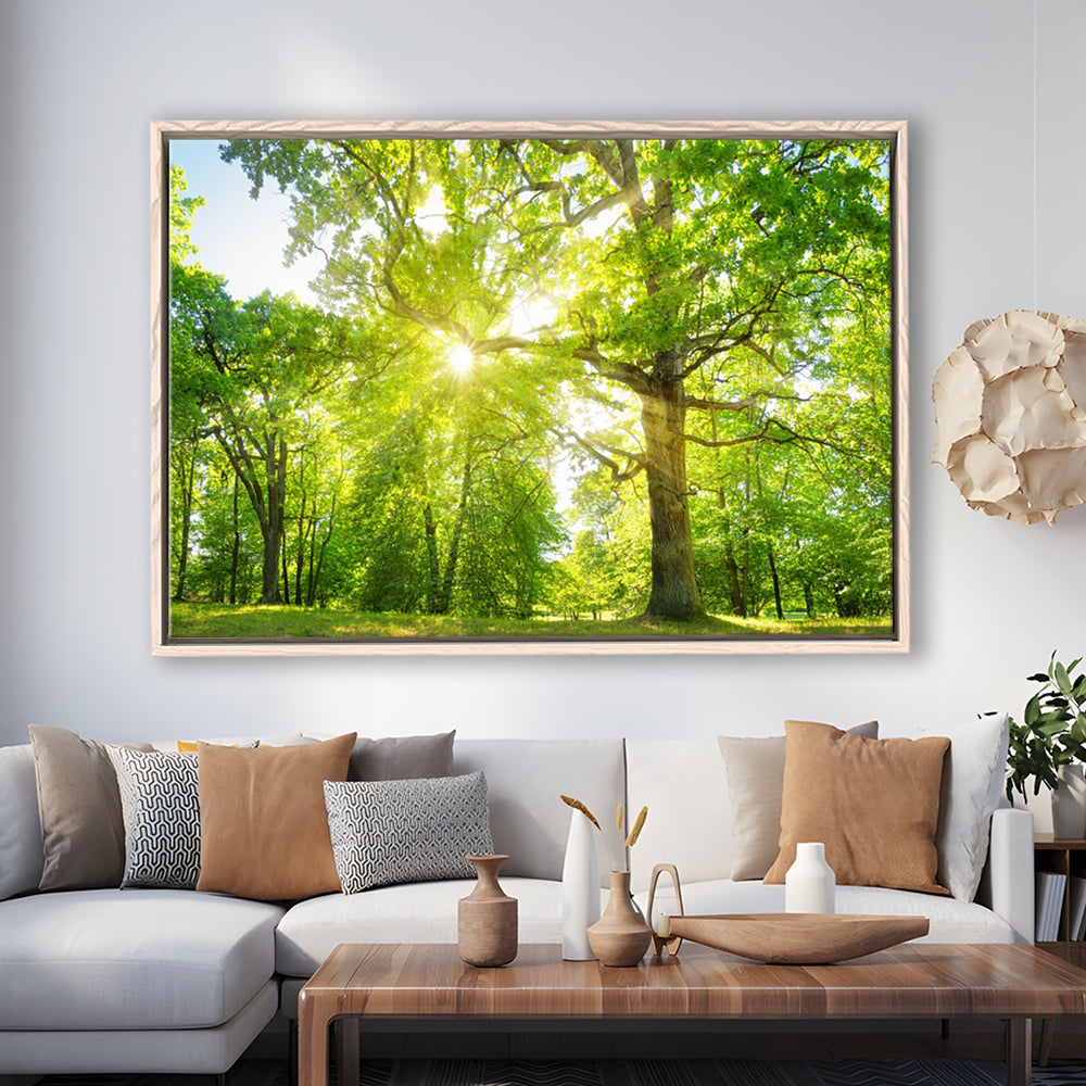 Old Oak Tree Foliage In Morning Light With Sunlight, Framed Cavas Print, Floating Frame