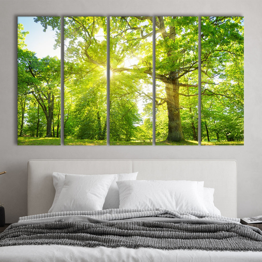 old oak tree foliage in morning light with sunlight, 5 Piece B Extra Large Cavas Print Wall Art Decor