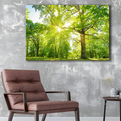 old oak tree foliage in morning light with sunlight, Cavas Print Wall Art Hom Decor