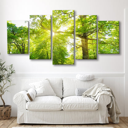 old oak tree foliage in morning light with sunlight, 5 Piece Large Cavas Print Wall Art
