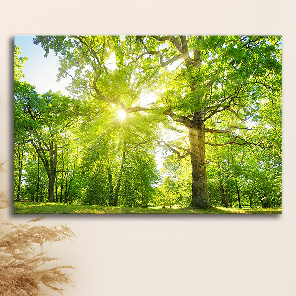 old oak tree foliage in morning light with sunlight, Cavas Print Wall Art Hom Decor