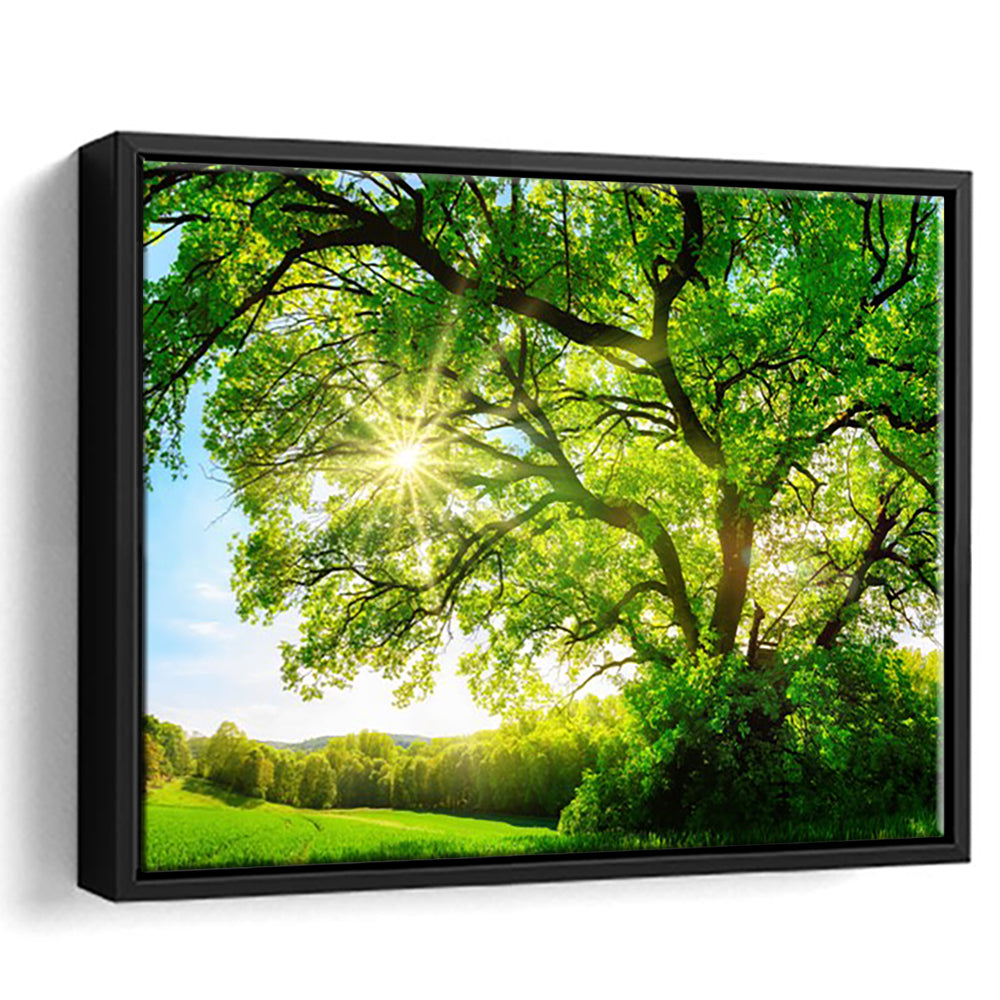 Sun Shining Through A Majestic Green Oak Tree On A Meadow, Framed Cavas Print, Floating Frame