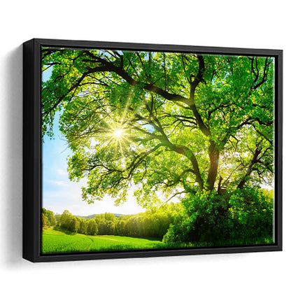 Sun Shining Through A Majestic Green Oak Tree On A Meadow, Framed Cavas Print, Floating Frame