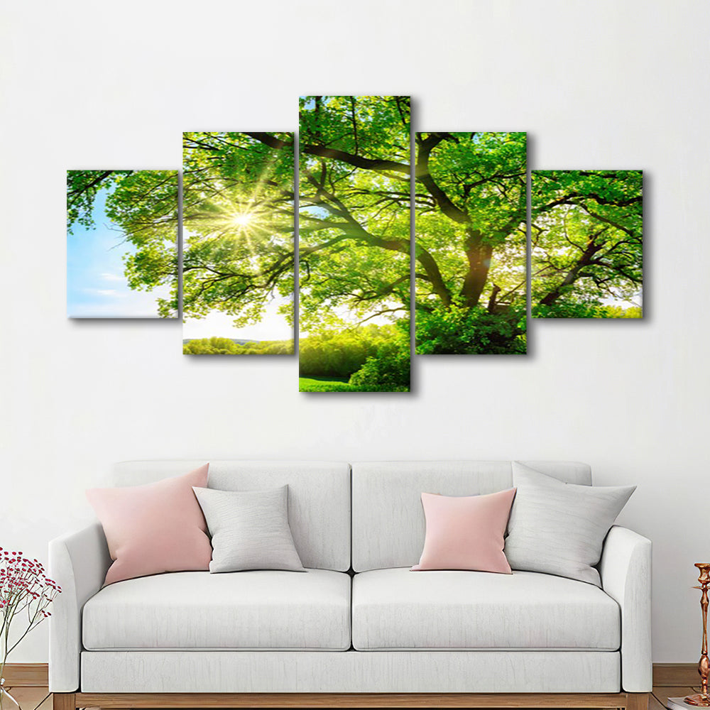 sun shining through a majestic green oak tree on a meadow, 5 Piece Large Cavas Print Wall Art