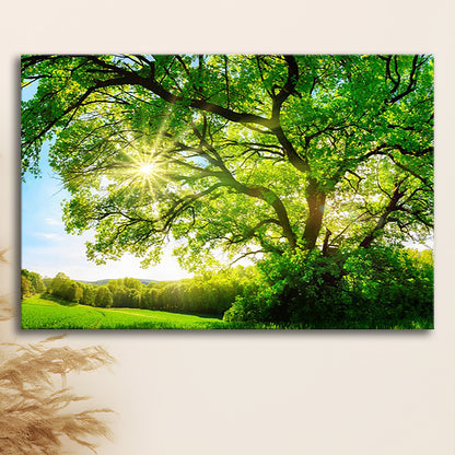 sun shining through a majestic green oak tree on a meadow, Cavas Print Wall Art Hom Decor