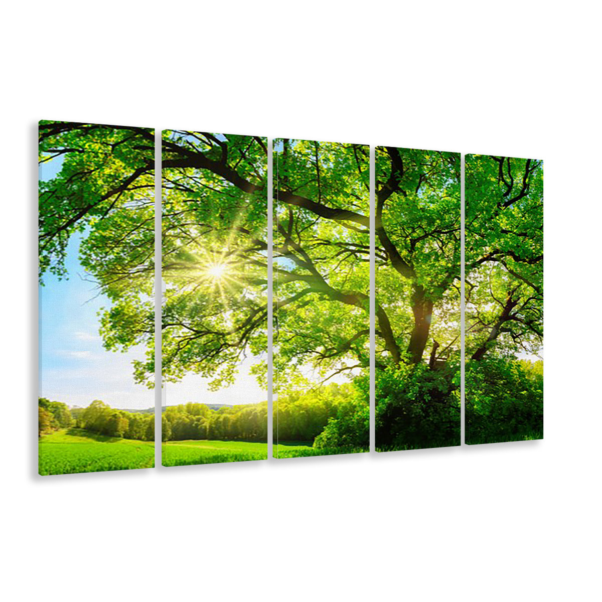 sun shining through a majestic green oak tree on a meadow, 5 Piece B Extra Large Cavas Print Wall Art Decor