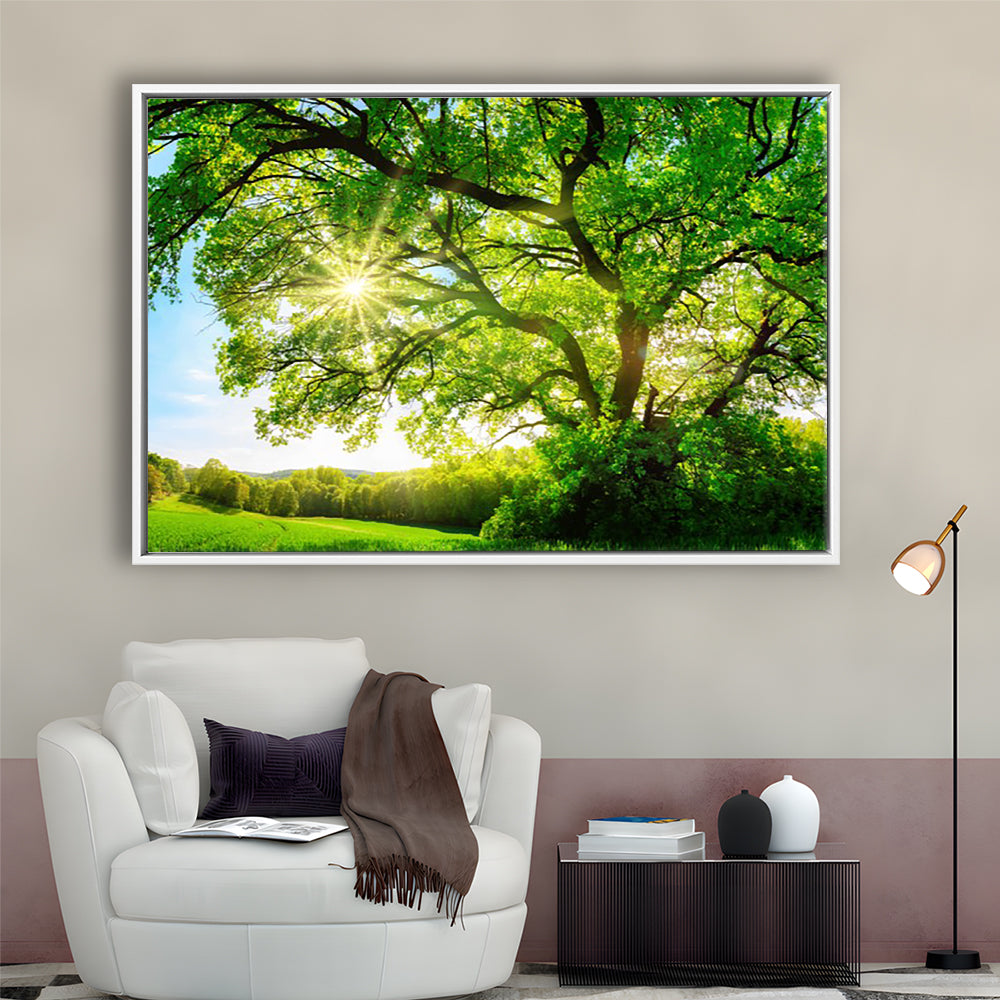 Sun Shining Through A Majestic Green Oak Tree On A Meadow, Framed Cavas Print, Floating Frame