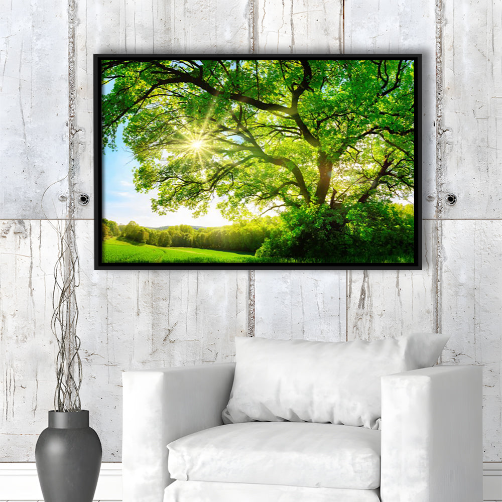 Sun Shining Through A Majestic Green Oak Tree On A Meadow, Framed Cavas Print, Floating Frame