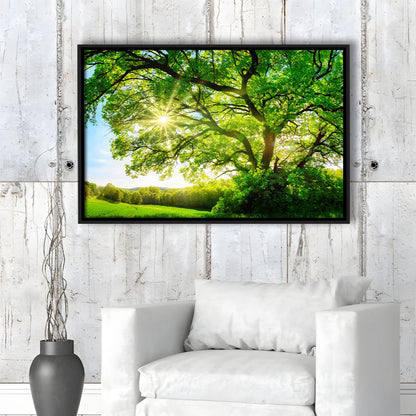 Sun Shining Through A Majestic Green Oak Tree On A Meadow, Framed Cavas Print, Floating Frame