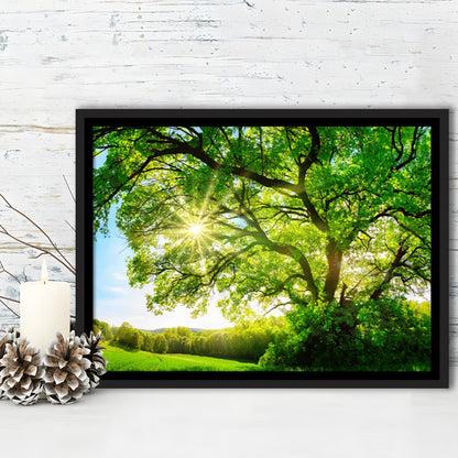 Sun Shining Through A Majestic Green Oak Tree On A Meadow, Framed Cavas Print, Floating Frame