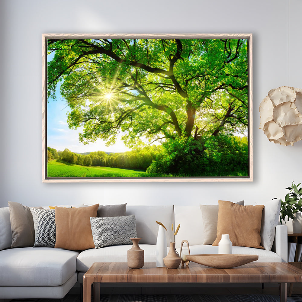 Sun Shining Through A Majestic Green Oak Tree On A Meadow, Framed Cavas Print, Floating Frame